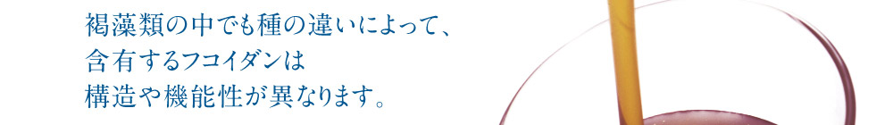 褐藻類の中でも種の違いによって、含有するフコイダンは構造や機能性が異なります。