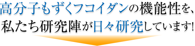 高分子もずくフコイダンの機能性を、私たち研究陣が日々研究しています!